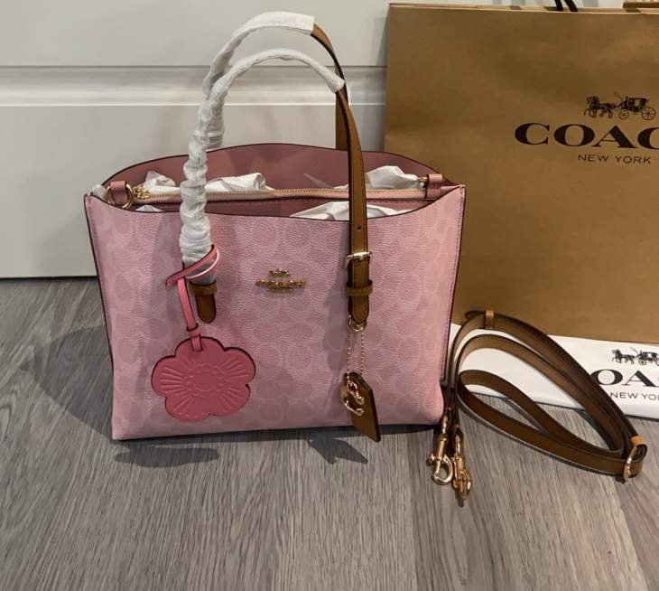 Picture of Coach Handbags _SKUfw231082394fw